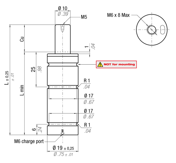 MP150-050A MAXIMUM FORCE GAS SPRING 19 X 50