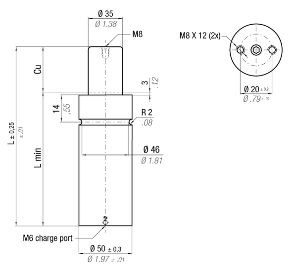 MP2000-056A MAXIMUM FORCE GAS SPRING 50 X 56