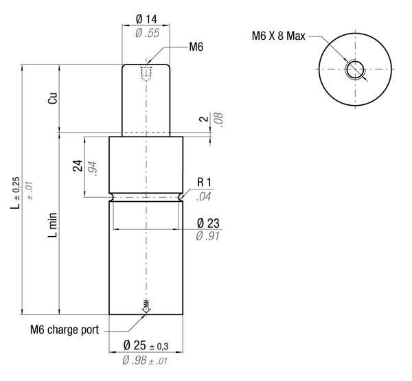 MP300-063A MAXIMUM FORCE GAS SPRING 25 X 63