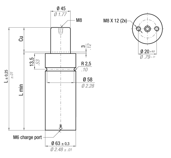 MP3000-010A MAXIMUM FORCE GAS SPRING 63 X 10