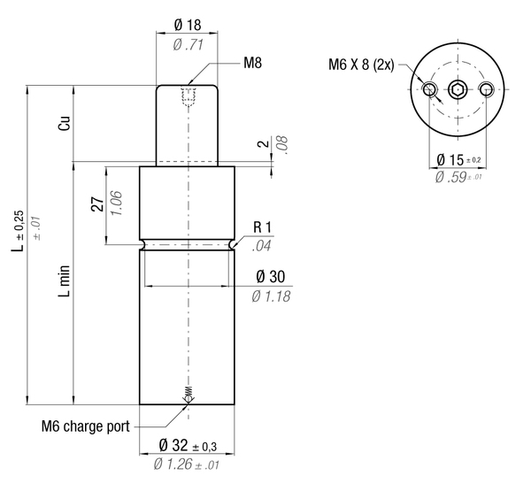 MP500-045A MAXIMUM FORCE GAS SPRING 32 X 45