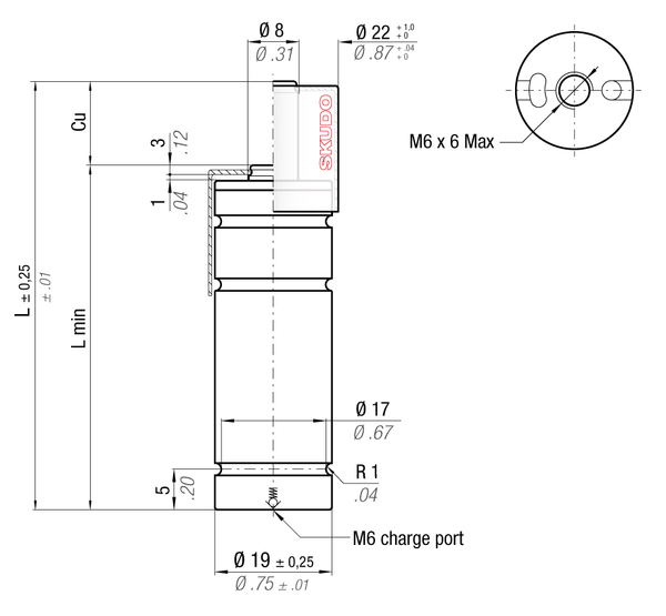 MS90-035BRD 19MM  DIA X 35MM  STROKE WITH SKUDO CAP