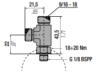 PA-RT G 1/8" PORT TO ORFS HOSE END - RUN TEE