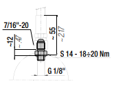 RTC-D G 1/8 JIC 37° STRAIGHT PORT ADAPTER