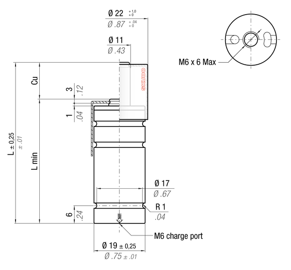 RS170-060C 19MM  DIA X 60MM  STROKE WITH SKUDO CAP