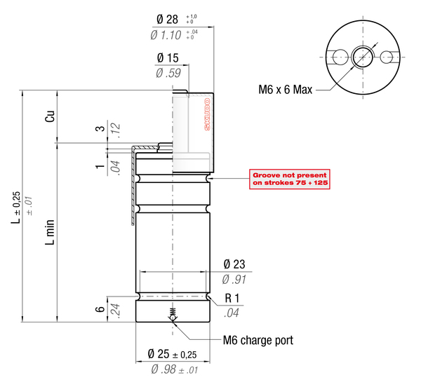 RS320-016C 25MM  DIA X 16MM  STROKE WITH SKUDO CAP