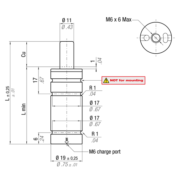 RV170-063C 19MM  DIA X 63MM  STROKE ISO GAS SPRING