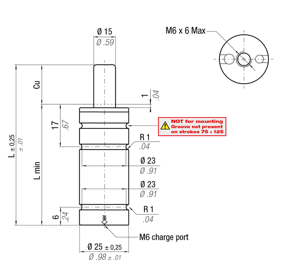 RV320-019C 25MM  DIA X 19MM  STROKE ISO GAS SPRING