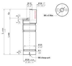 MS200-022BRD 25MM  DIA X 22MM  STROKE WITH SKUDO CAP