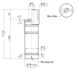 MS90-010BPR 19MM  DIA X 10MM  STROKE WITH SKUDO CAP