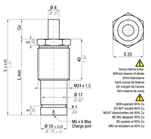 M90-063BYW-TEM 19MM  DIA X 63MM  STROKE THREADED BODY M-24X1.5 WITH LOCK NUT